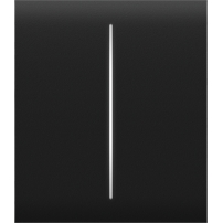 Ajax CenterButton (2-gang)-B