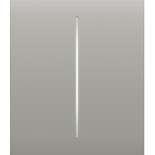 Ajax CenterButton (2-gang)-OY